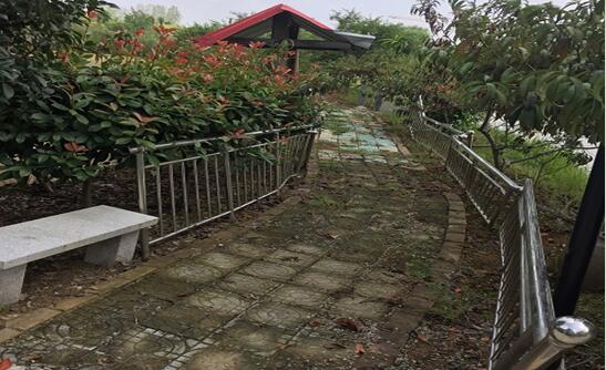 Ϸվ¼gaI_l^**e޹˾ټwϵķľYaЈrֵuĿ