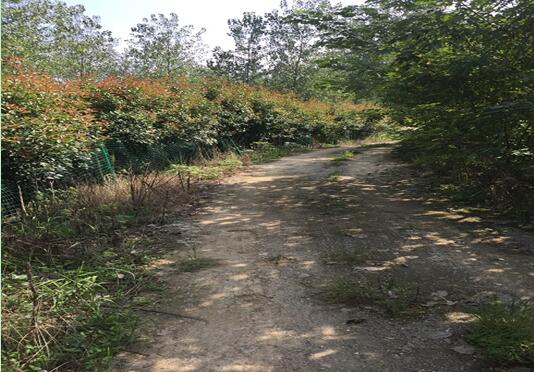 Ϸվ¼gaI_l^**e޹˾ټwϵķľYaЈrֵuĿ