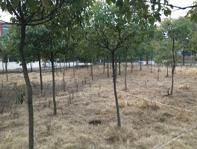 **޹˾еλڮͿh**悹I@ڹIõءaCaoCaľkƷO估ģЈrֵu