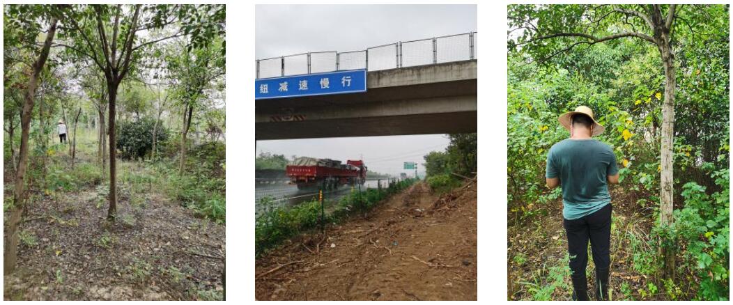 ϷLSh~ٸĔU(ku)̸a(b)r(ji)u