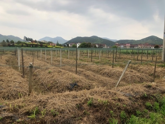 ~۽ۅ^(q)F·(zhun)þ漰λژ(yng)hX(qin)(zhn)ĹVoO(sh)ʩa(b)r(ji)u(png)