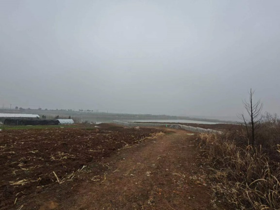 Ϸ******޹˾OλںϷзhͤSٵ@깤Јrֵu